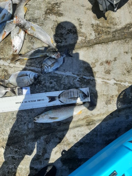 Fish Measure Picture